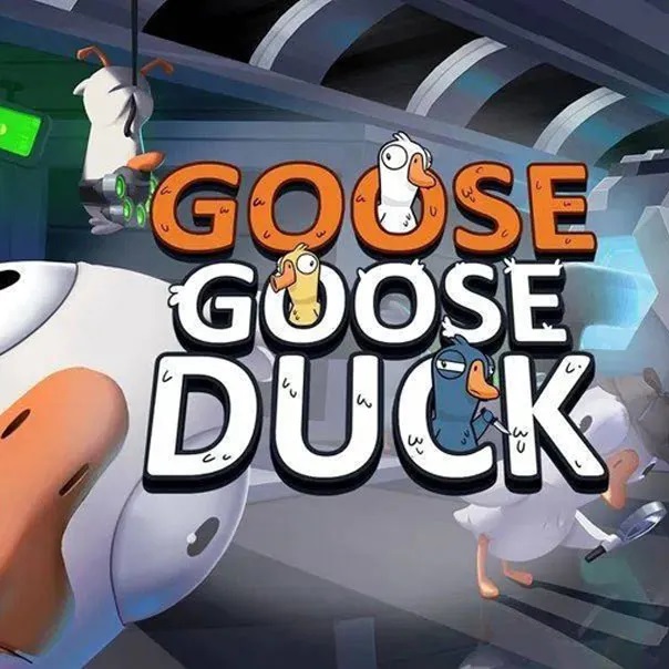 佩雷迪卡 鹅鸭杀金币充值卡GooseGooseDuck兑换码