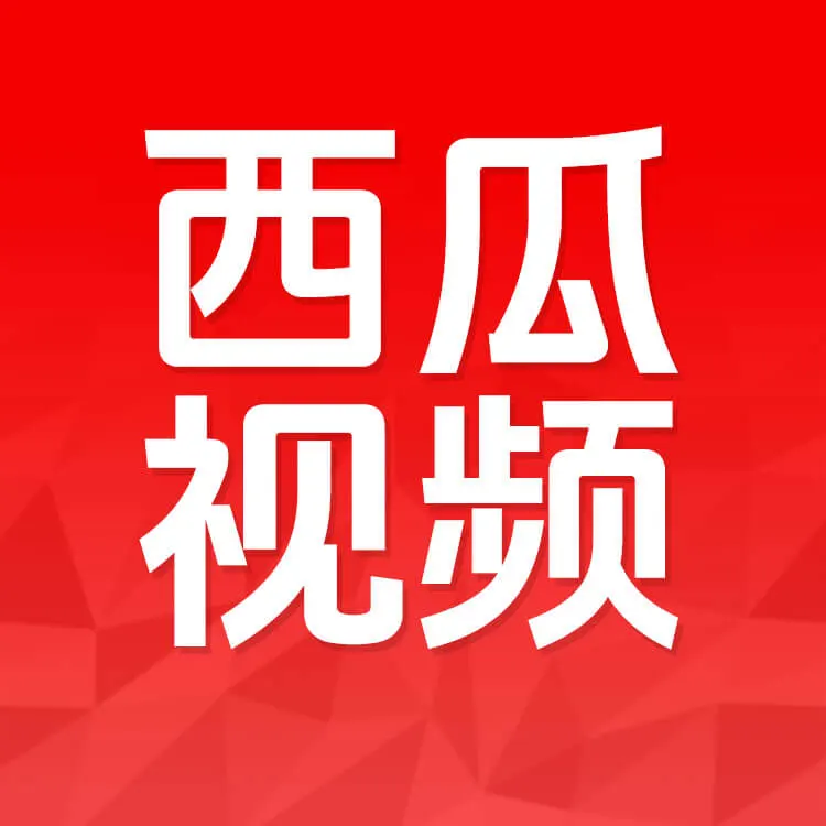 佩雷迪卡 西瓜视频影视会员充值